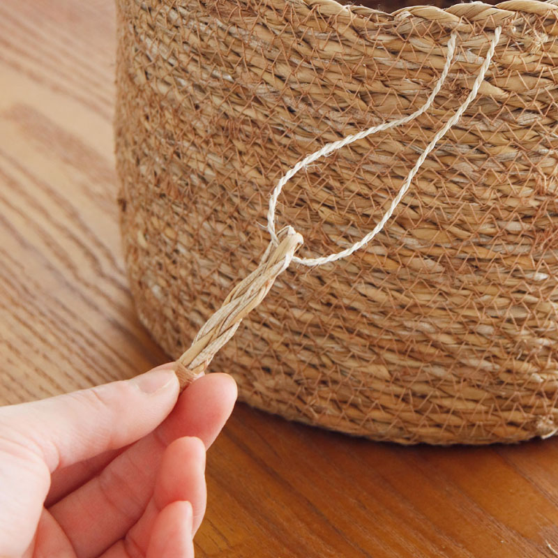 �ۥ���Υʥ����륽�����󥰥Х����åȡ�People Tree