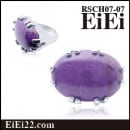 ŷ���Х�󥰡��ե��å������إ�󥰡��ǥ������󥰡�RSCH07-07