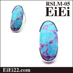 ŷ���Х�󥰡��ե��å������ء��ǥ������󥰡�RSLM-05