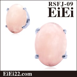 �������������� �ѥ���ȡ��󥢥������꡼ ŷ���л��ء�RSFJ-09