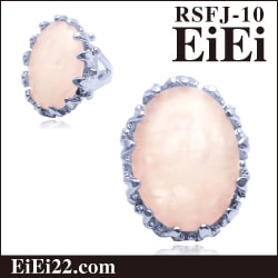 �������������� �ѥ���ȡ��󥢥������꡼ ŷ���л��ء�RSFJ-10