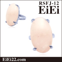 �������������� �ѥ���ȡ��󥢥������꡼ ŷ���л��ء�RSFJ-12