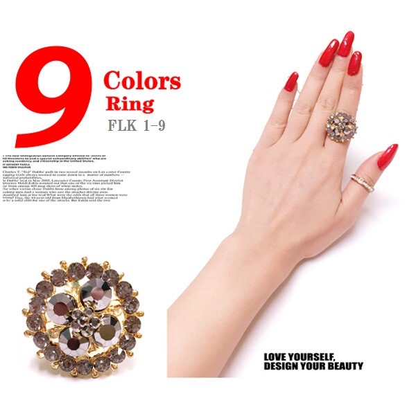 饭ʤʥե꡼饤󥹥ȡ 9 FLK-01