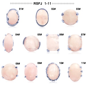 �������������� �ѥ���ȡ��󥢥������꡼ ŷ���л��ء�RSFJ-1-11