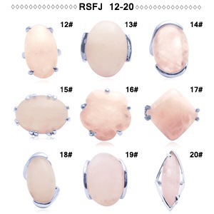 �������������� �ѥ���ȡ��󥢥������꡼ ŷ���л��ء�RSFJ-12-20