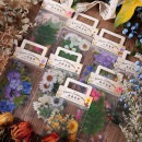即日発送 ドライフラワー 透明シール 押し花 クリアシール 耐水シール ダイカット PET クリア フラワー 葉っぱ ジャンクジャーナル コラージュ素材 手帳デコ デコレーション デコ シール 素材 