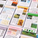 即日出荷 シールシート ブック ◆一冊20ページ 全８種◆文字素材 シールブック 和紙 ジャンクジャーナル デコレーション マステシール 手帳シール ステッカー 手帳デコ コラージュ素材 海外ステッカ