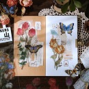 即日出荷 海外ステッカー 大きいめサイズ 透明シール ダイカット 耐水 シール ドライフラワー フレークシール 10枚 クリア PET ジャンクジャーナル コラージュ素材 手帳 デコ スマホ 携帯 手