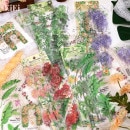 即日出荷 耐水シール 6シート 観葉植物 多肉植物 藤の花 フルーツ コラージュ素材 PET 耐水 ステッカー クリア シールシート ミニ観葉 葉っぱ 花 緑 おしゃれ 可愛い スクラップブッキング 