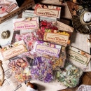 即日出荷 クリアシール 花の妖精たち 50枚 透明シール フレークシール 妖精 蝶 花 英字 透明ステッカー 海外 コラージュ 素材 デコレーション 女の子 男の子  PET耐水 シール ジャンクジャ