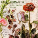 即日出荷 金箔押し 大きめ PETシール 40枚 クリアシール コラージュ素材 ローズ 薔薇 花びら 花弁 押し花 ドライフラワー 花柄 葉っぱ キノコ 英語 英字 ステッカー コラージュ 素材 箔押