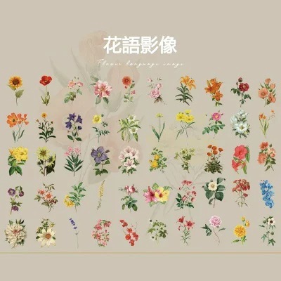 ���� 50�� �ڼ� �ե졼�������� ���饹�ȥ��ƥå��� ���� ����ꥫ �衼���å� ��ʪ��ưʪ ���Ĥ͡���Ļ �ĥХ� ��� ��ȥ� ����󥯥��㡼�ʥ� ���顼�����Ǻ� �ǥ��졼����� �ӥ�ơ��� ������ơ��� ����ƥ����� �ǥ����� �̲�