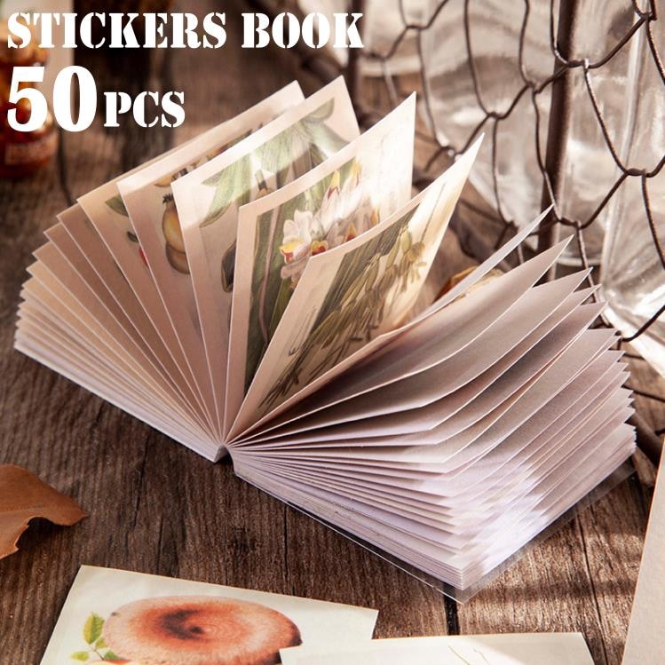 ֥å50 8 顼 Ǻ ǥ졼 󥯥㡼ʥ 󥹥 ̿ եȥե졼 Ins ƥå֥å ǥ  󥷡 ʪ  ޥƥ ƥå » ȾƩ Ģ ǥ ȥ ̿