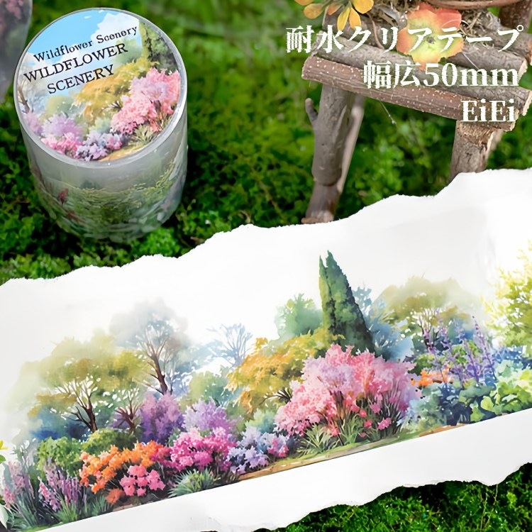 ¨���в� ���ꥢ�ơ��� �ޥ����󥰥ơ��� Ʃ�� �ѿ� PET ������쥹 ����50mm ¿����ʪ ���� ���� ��ʪ �� �� ��� ���� ���� ���ȡ��� �����ǥ˥� �� �� ���饹�� ������ ���顼�����Ǻ� ������� ������ơ��� ����ƥꥢ  �ǥ��졼����� ���顼������ ��Ģ DIY