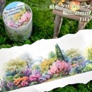 即日出荷 クリアテープ マスキングテープ 透明 耐水 PET シームレス 幅広50mm 多肉植物 低木 灌木 植物 木 樹 草花 樹木 敷石 ストーン ガーデニング 石 庭 イラスト シール コラージ