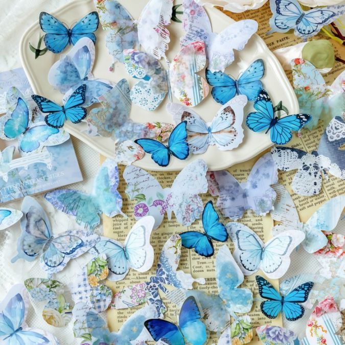 ¨���в� 50�� ���Ǻ� �礭�� ĳ ���饹�ȥ����� 3�����Ǻ� �ȥ�ڥ����� PET������ �����Ȼ楷���� ȾƩ�������� �ѿ奷���� ���顼�����Ǻ� ������� �Х��ե饤 β����  �ȥ�� �Ǻ� ���饹�� ���ƥå��� �ǥ��졼����� ���顼���� �Ǻ� �ϥ�ɥᥤ�� ��Ģ ��� DIY