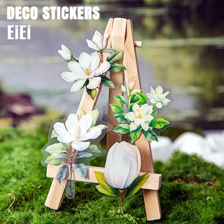 ¨в ꥢ 㥹ߥ ʥ   ⥯ ܥ 饹 ѿ奷 ֤Ӥ  PET 顼Ǻ  30 ȾƩ Ʃ ǥ졼 Ģ ե륷 ϥɥᥤ ۥ磻  ԥ  Ģ DIY