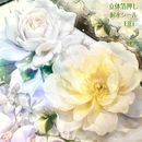 即日出荷 大きめ 耐水シール 紫のスミレ すみれ 黄色 白 バラ 薔薇 牡丹 さくら 桜 花びら イラストシール クリアシール コラージュ素材 花柄シール コラージュ 素材 PET 20枚 海外 紙物