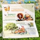 即日出荷 クリアシール 耐水 PET シール 外国 子ども キッズ 子供  女の子 少女  ピクニック アウトドア 旅 弁当 遠足 キャラクターステッカー コラージュ素材 人物シール かわいい 25枚