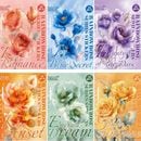 ¨в 9090 礭  ȾƩ  ޥåȤʼ ڤ䤫  顼 ꥢ ֤Ӥ 顼Ǻ   Х 饹ȥ PET ѿ奷    顼 Ǻ   Ģ ϥɥᥤ ǥ졼 DIY