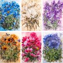 ¨в 180 礭   Ǻ ꥢ ܤ ط ǥڡѡ 顼Ǻ 㤤å    ѿ奷 Ǻ طʻ Ĥ ϥ   å ǥ졼 åץ֥å ϥɥᥤ Ģ DIY