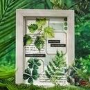 即日出荷 クリアシール 大きめ 四つ葉 葉っぱ クローバー 緑系 グリーン 観葉植物 イラスト PETシール 耐水シール コラージュ素材 植物柄 透明シール 半透明シール ダイカット ステッカー デコ