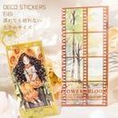 ¨���в� ���ꥢ������ Ʃ�� �ե졼�ॷ���� �ͥ��ե���ॷ���� �礭�� 25��25�� ��ʪ������ ��ʪ ���λ� ���� ���� ���� �� �Ѹ� ������� ���襤�� Ʃ�������� �ѿ奷���� ���饹�� ���ƥå��� ������åץ֥å� �ǥ��졼����� ��Ģ ��� ����Х� ������Ģ ʸ˼�� DIY