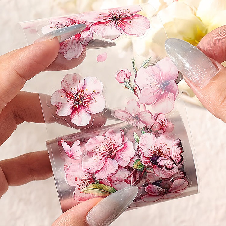 ¨���в� ���㤤�����å� 4�����å� �������å� ���ꥢ�ơ��� ���� �� �ե� �ե��ơ��� ���顼�����Ǻ� �磻�ɥ����� ����60mm��2m �ޥ����󥰥ơ��� �ѿ� �����륷���� �֤Ӥ� �ط� ��� PET������ �طʥ����� �ǥ��졼����� ���顼���� �Ǻ� ����Х� ��Ģ DIY