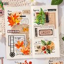 ¨���в� ���ꥢ������ �礭�� Ʃ�� �ѿ�PET������ ���顼�����Ǻ� ���襤�� ������ �Ѹ� �� ������ ���� ���� ĳ ���Τ� �ͥ��ե���� �ե졼�� ������ ���饹�ȥ��ƥå��� 20�� PET������ �ѿ奷���� �� �ԥ� �� �� �� ���顼���� �Ǻ� �ϥ�ɥᥤ�� ��ݻ�� ��Ģ DIY