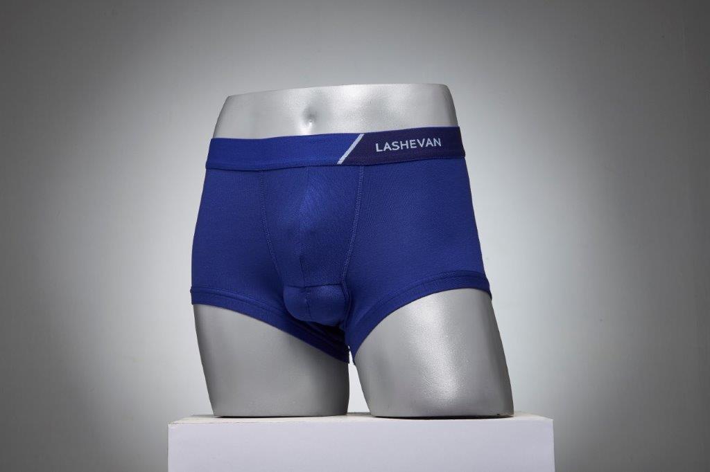 ��2019 NEW MODEL��FRENCH BLUE��JP GEAR��