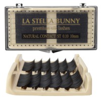 ST������24��(J������/�ץ�ߥ��ॷ�륯��������)