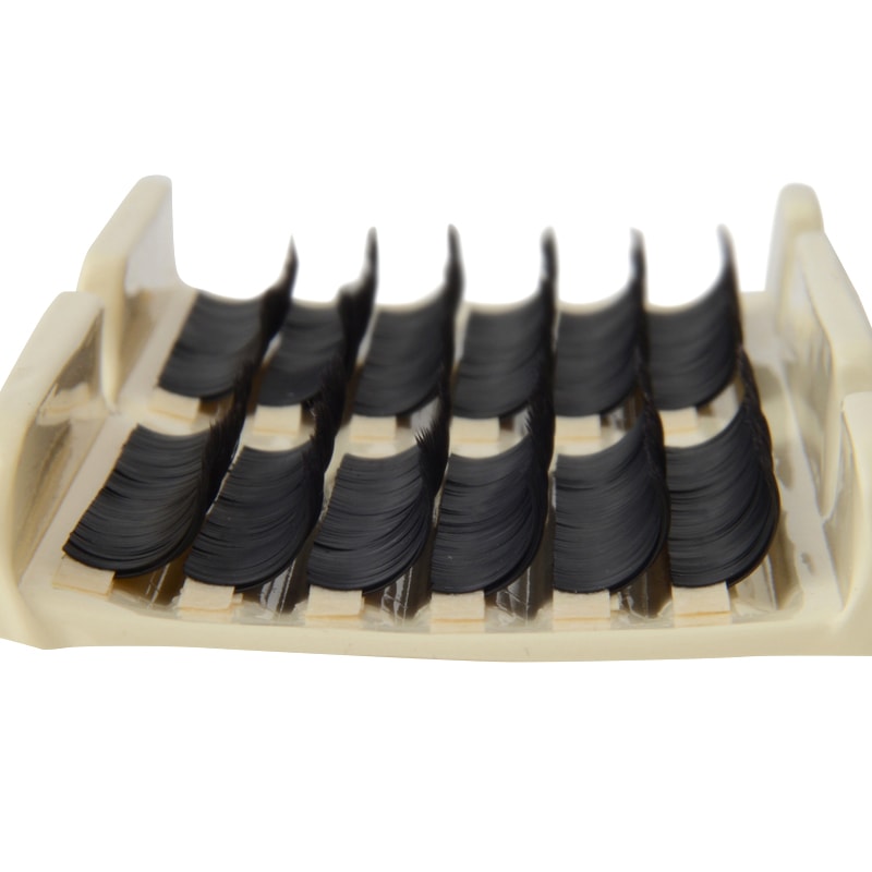 HC������24��(CC������/�ץ�ߥ��ॷ�륯��������)