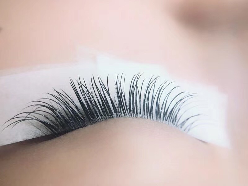 MT������(I������/�ե����С���������)