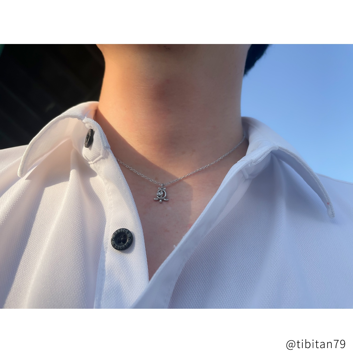 ハワイのかわいい亀 小さめホヌのペアネックレス アレルギーフリー opp00093 つけっぱなしok アレルギー対応