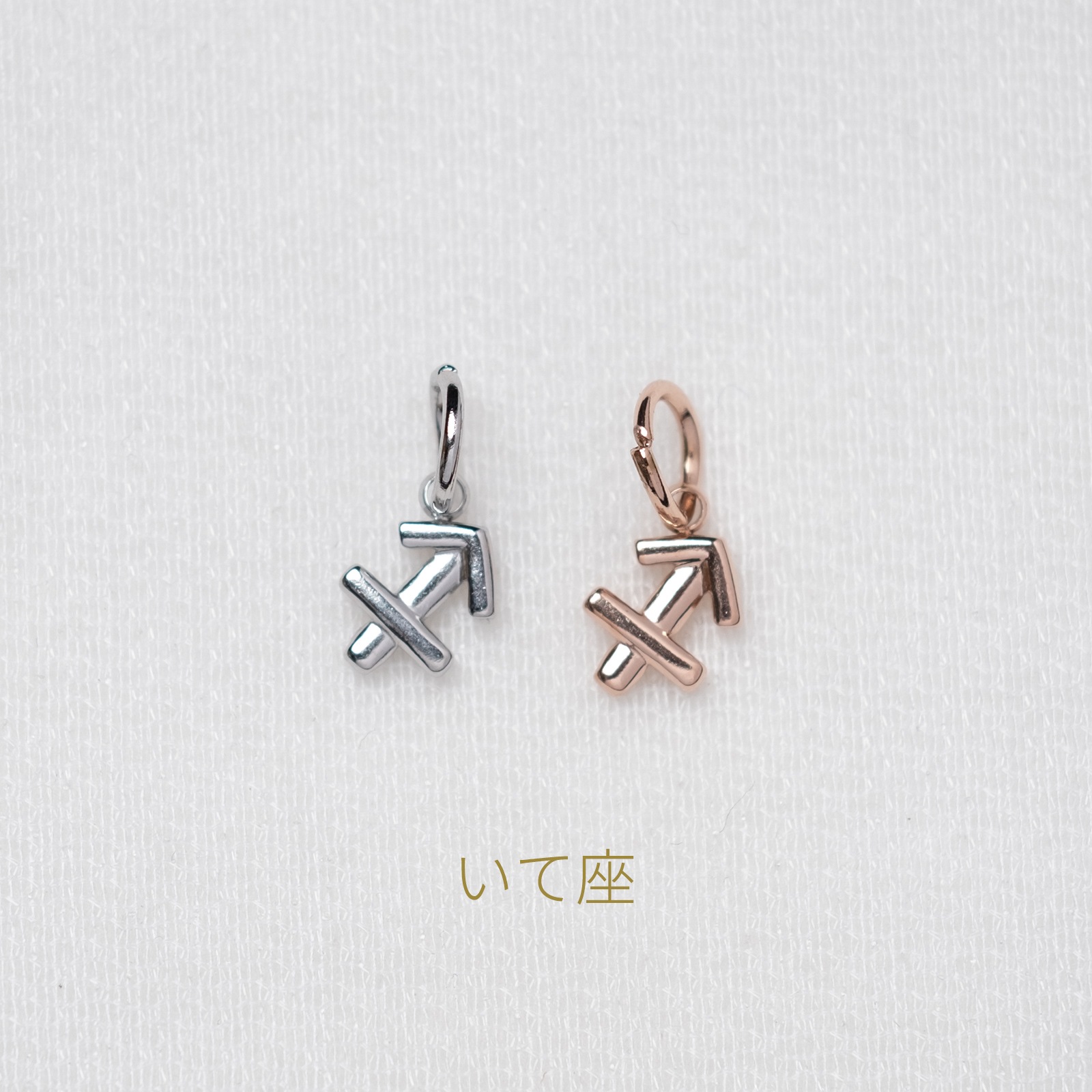 【単品チャーム1つ】12種類から選べる星座チャーム ステンレス アレルギー対応 つけっぱなしok otc009