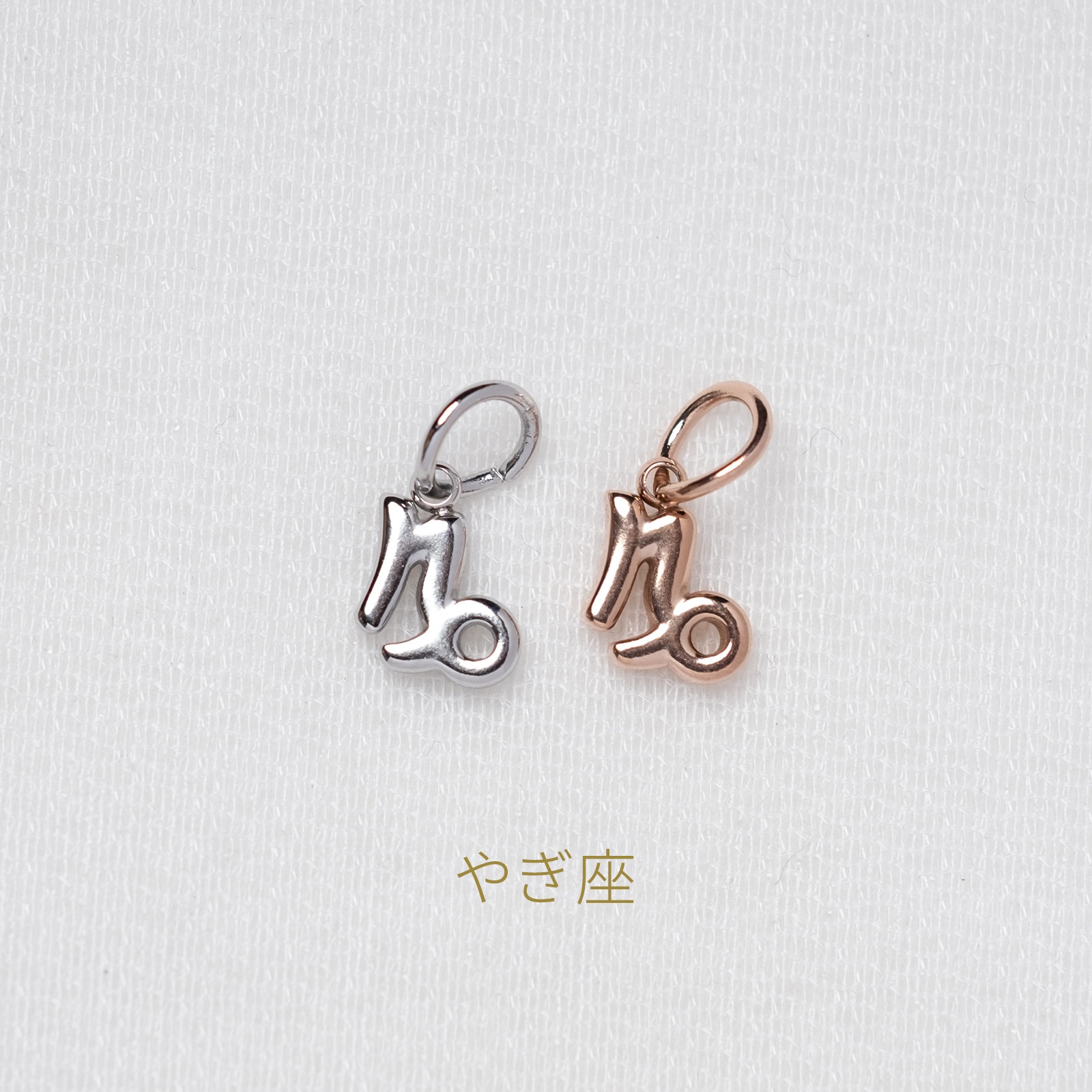 【単品チャーム1つ】12種類から選べる星座チャーム ステンレス アレルギー対応 つけっぱなしok otc009