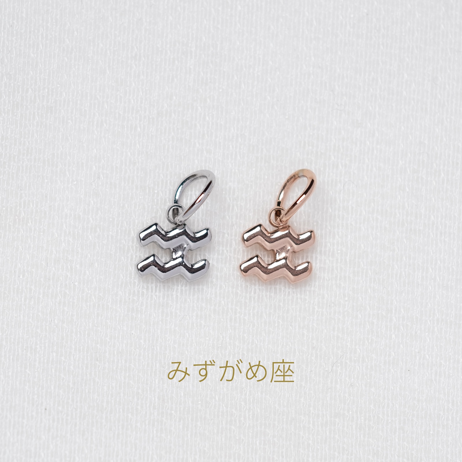 【単品チャーム1つ】12種類から選べる星座チャーム ステンレス アレルギー対応 つけっぱなしok otc009