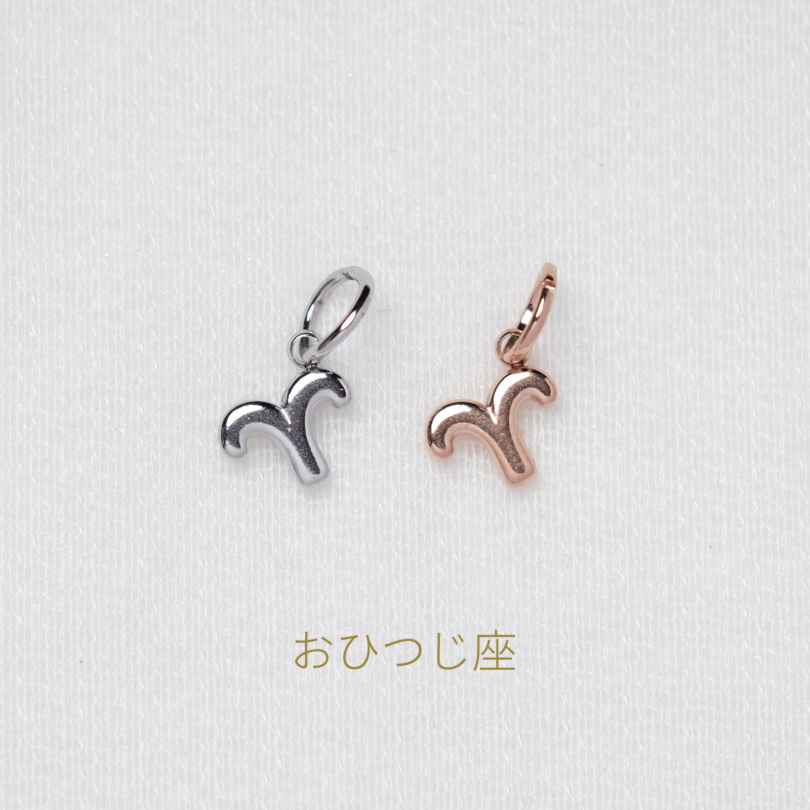 【単品チャーム1つ】12種類から選べる星座チャーム ステンレス アレルギー対応 つけっぱなしok otc009