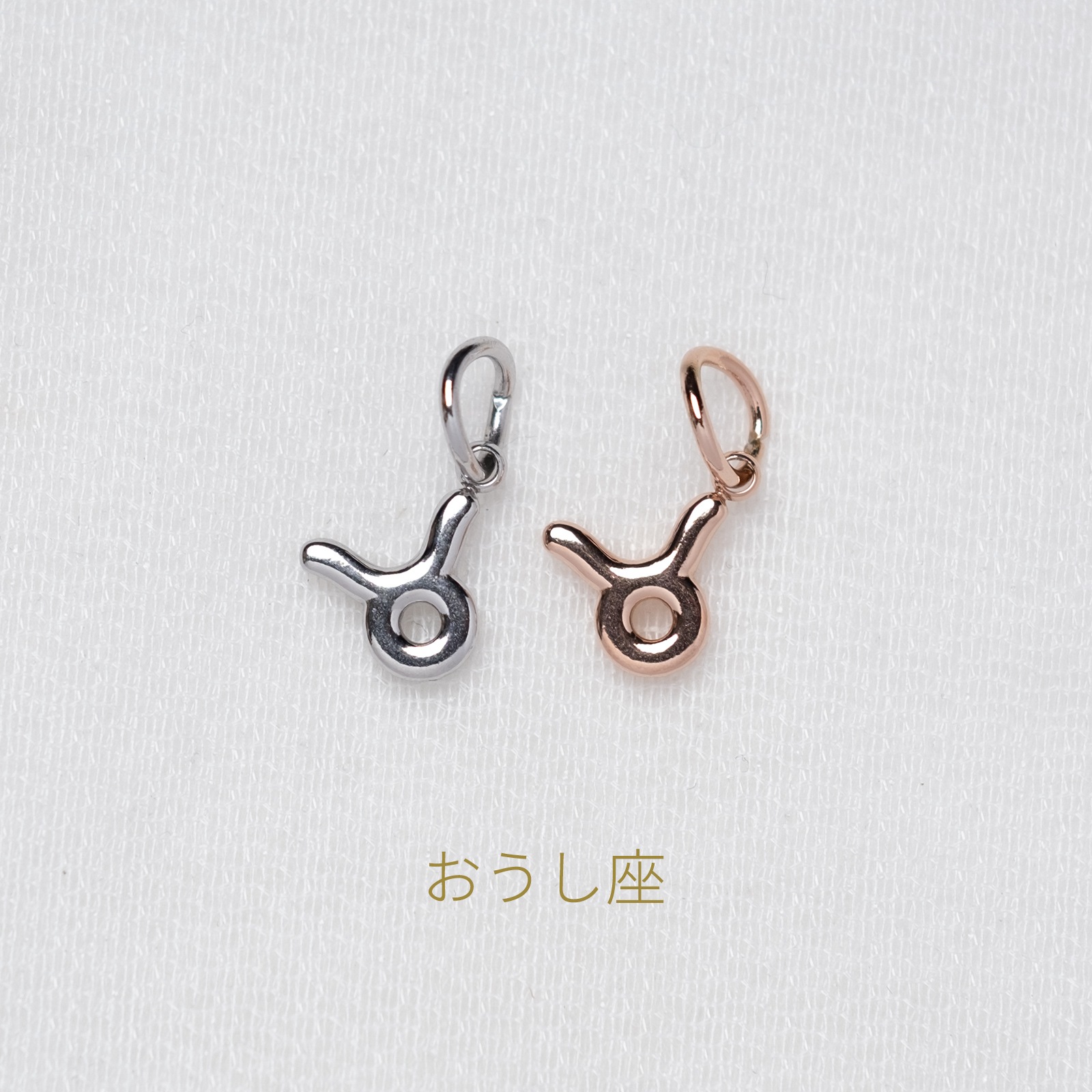 【単品チャーム1つ】12種類から選べる星座チャーム ステンレス アレルギー対応 つけっぱなしok otc009