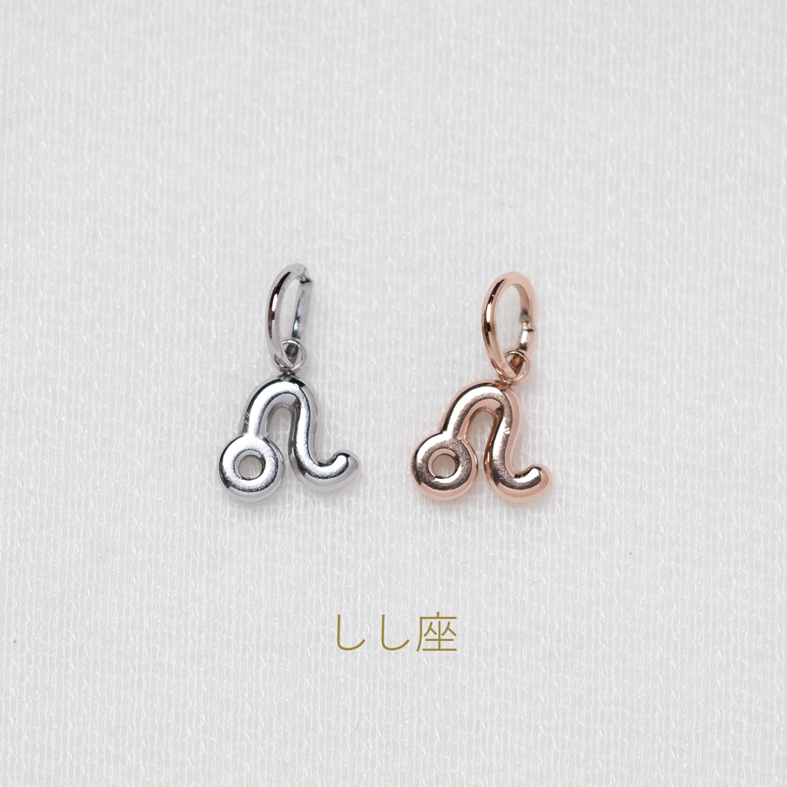 【単品チャーム1つ】12種類から選べる星座チャーム ステンレス アレルギー対応 つけっぱなしok otc009