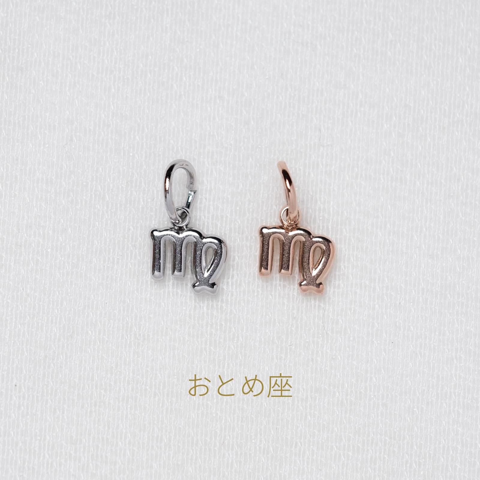 【単品チャーム1つ】12種類から選べる星座チャーム ステンレス アレルギー対応 つけっぱなしok otc009