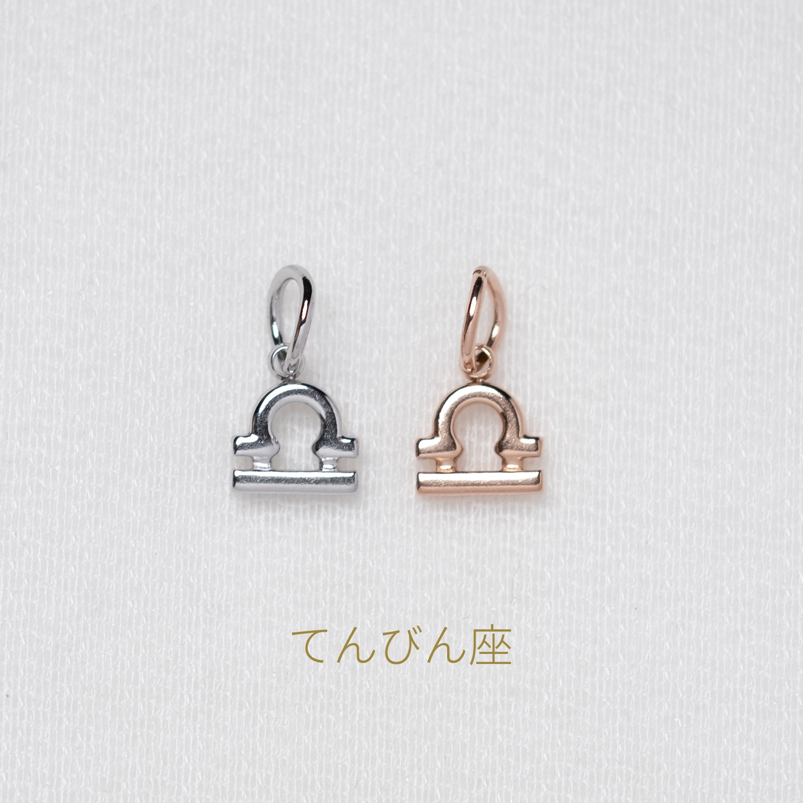 【単品チャーム1つ】12種類から選べる星座チャーム ステンレス アレルギー対応 つけっぱなしok otc009