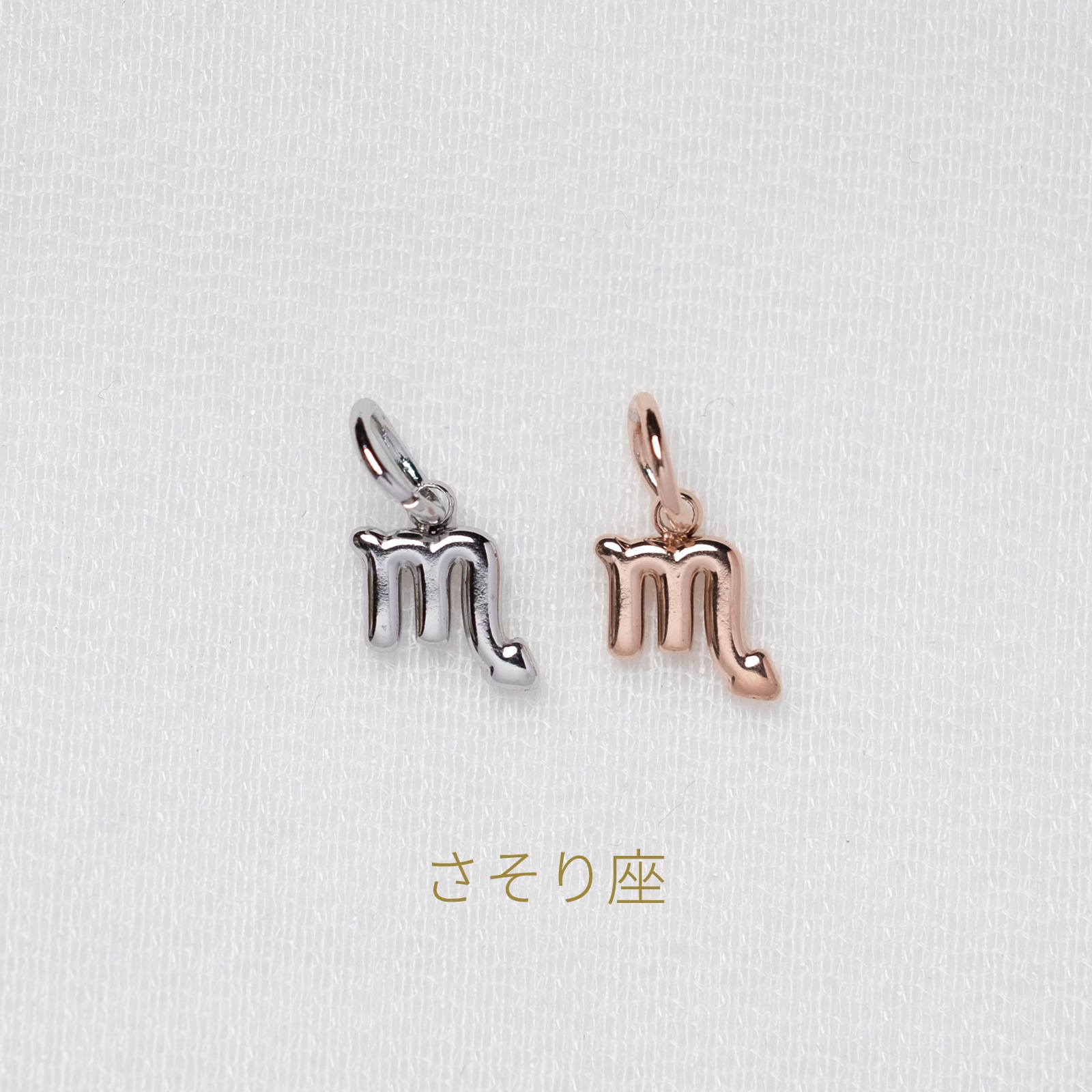 【単品チャーム1つ】12種類から選べる星座チャーム ステンレス アレルギー対応 つけっぱなしok otc009