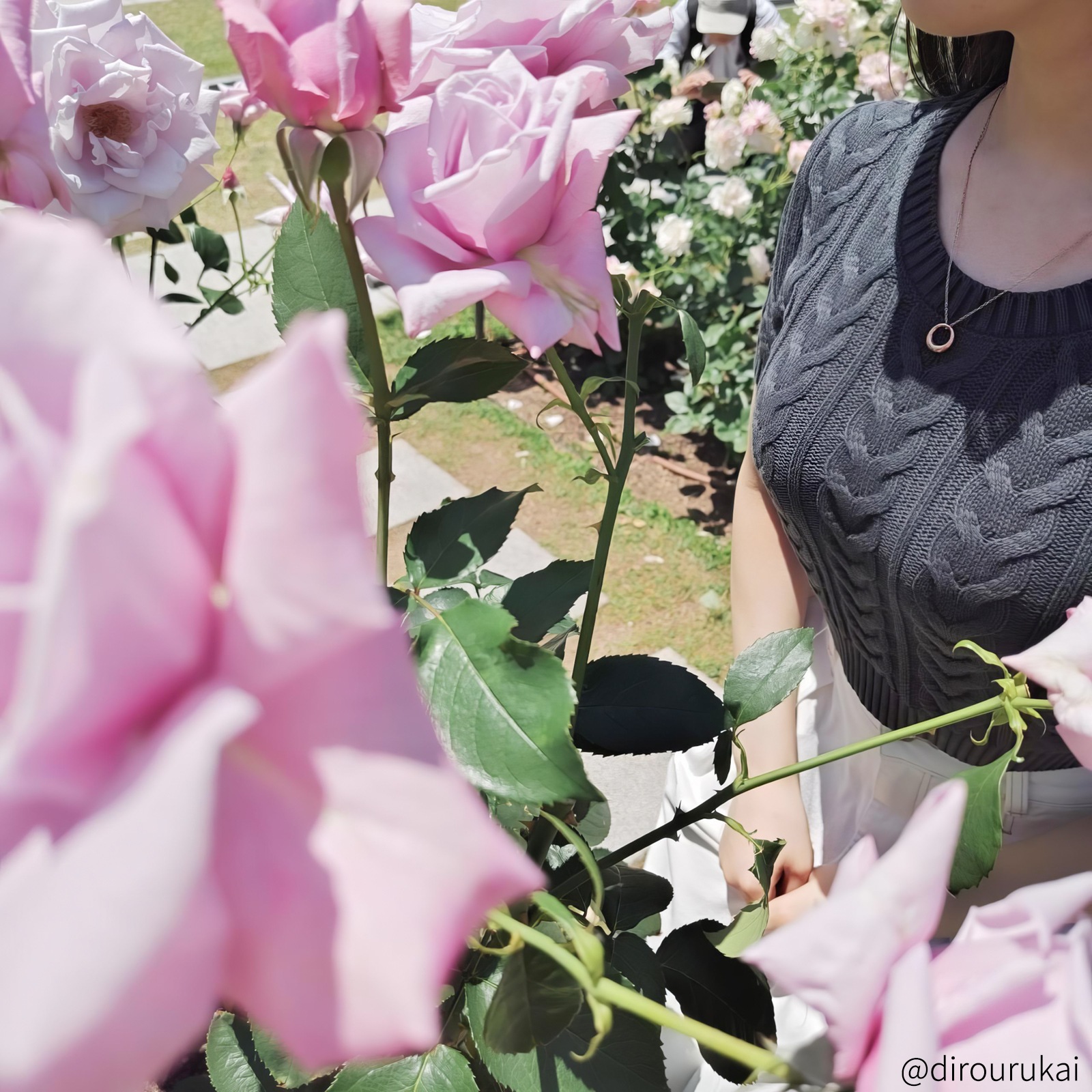 ふっくらフープのペアネックレス サージカルステンレス 316L アレルギーフリー opp00099 つけっぱなしok アレルギー対応