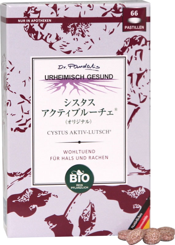 ӤϤΤɥ֥ƥ֥롼66γʥꥸʥˡ