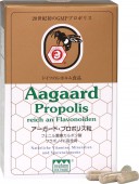 ϥåסϫ֥ɡץݥꥹ60γ