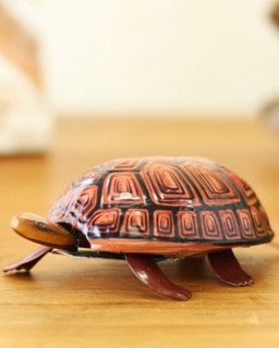 shanti / ֥ꥭ 󥰥ȥ