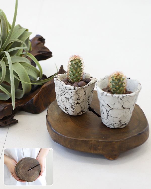 shanti / チークステージトレイ 輪切り｜テソロ(tesoro)公式通販