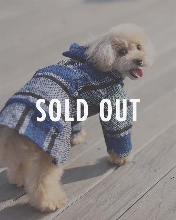 tesoro / ڥåѥᥭѡ / ֥åߥͥӡ