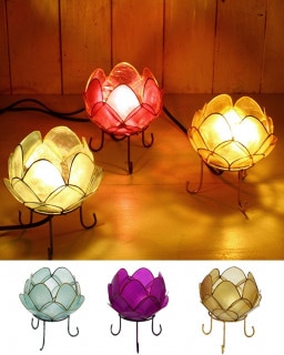 shanti / ���ԥ������������ס�S��(20W)